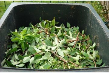 Centro di raccolta sfalci vegetali